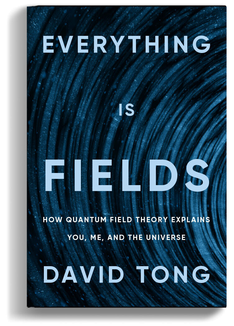 Cover of Everything Is Fields