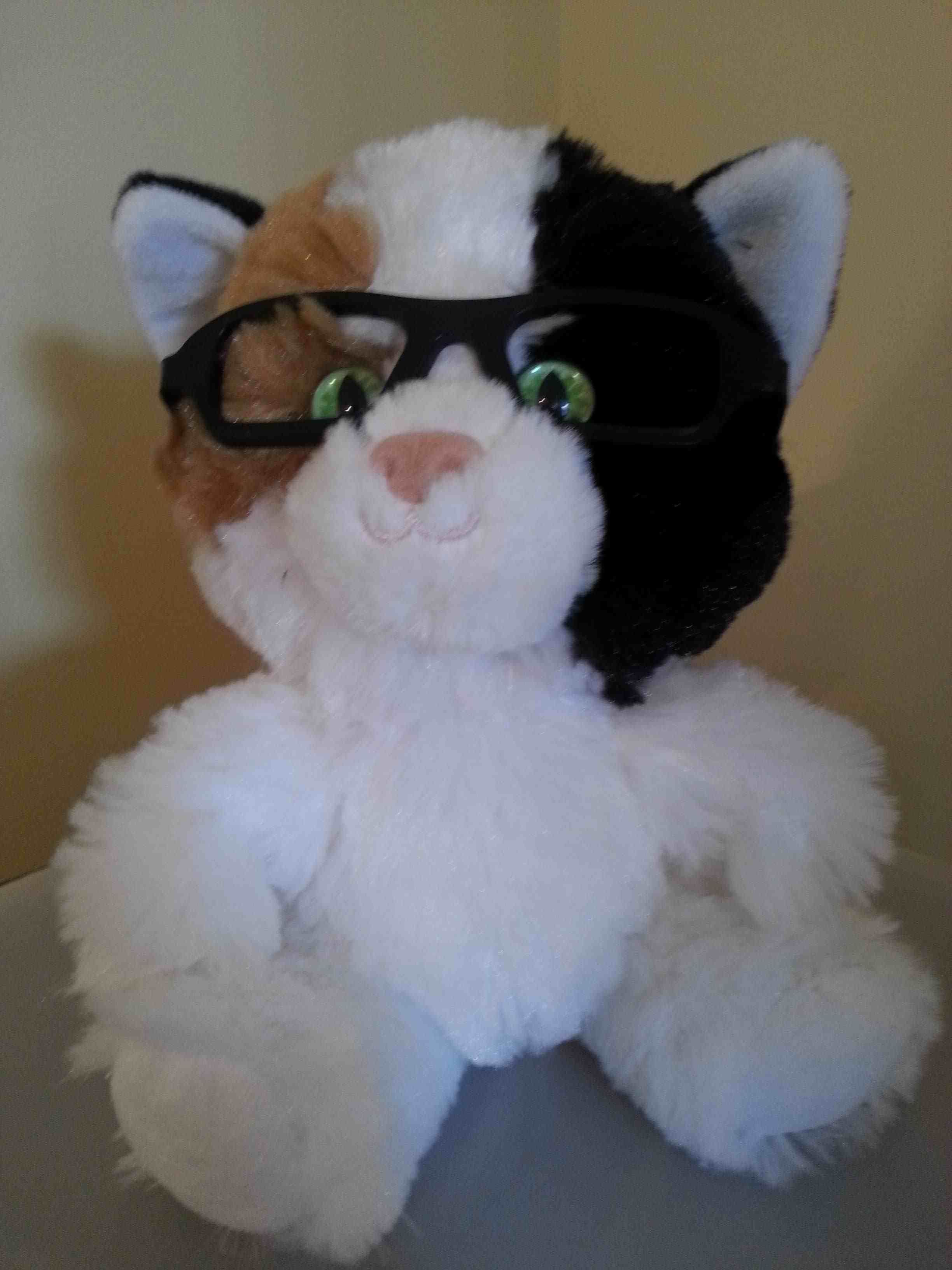 Class cat